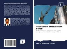 Buchcover von Тернарный смешанный бетон