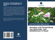 Copertina di Kenntnis und Verwendung von Nahrungs- und Heilpflanzen in Kasai