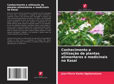 Copertina di Conhecimento e utilização de plantas alimentares e medicinais no Kasai