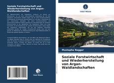 Soziale Forstwirtschaft und Wiederherstellung von Argan-Waldlandschaften kitap kapağı