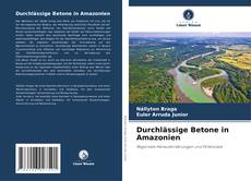 Durchlässige Betone in Amazonien kitap kapağı