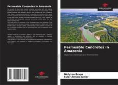 Permeable Concretes in Amazonia kitap kapağı