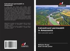 Copertina di Calcestruzzi permeabili in Amazzonia