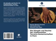 Borítókép a  Die Kämpfe und Rechte der traditionellen Terreiro-Gemeinschaften in Pará - hoz