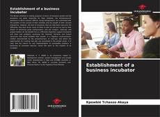 Capa do livro de Establishment of a business incubator 