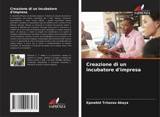 Copertina di Creazione di un incubatore d'impresa