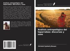 Bookcover of Análisis antropológico del taparrabos: discursos y usos