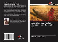 Buchcover von Analisi antropologica del perizoma: discorsi e usi