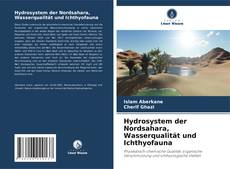 Portada del libro de Hydrosystem der Nordsahara, Wasserqualität und Ichthyofauna