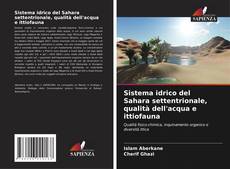 Buchcover von Sistema idrico del Sahara settentrionale, qualità dell'acqua e ittiofauna