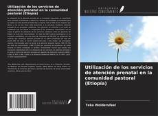 Buchcover von Utilización de los servicios de atención prenatal en la comunidad pastoral (Etiopía)