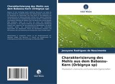 Copertina di Charakterisierung des Mehls aus dem Babassu-Kern (Orbignya sp)