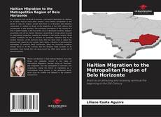 Bookcover of Haitian Migration to the Metropolitan Region of Belo Horizonte