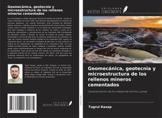 Copertina di Geomecánica, geotecnia y microestructura de los rellenos mineros cementados