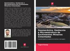 Bookcover of Geomecânica, Geotecnia e Microestrutura de Enchimentos Mineiros Cimentados