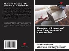 Portada del libro de Therapeutic itinerary of MSM living with HIV in Antananarivo