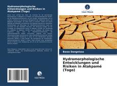 Portada del libro de Hydromorphologische Entwicklungen und Risiken in Atakpamé (Togo)