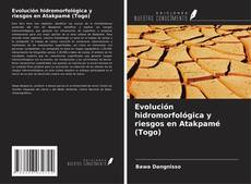 Bookcover of Evolución hidromorfológica y riesgos en Atakpamé (Togo)