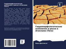 Bookcover of Гидроморфологические изменения и риски в Атакпаме (Того)