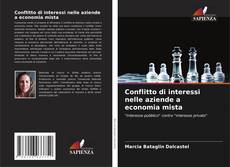 Copertina di Conflitto di interessi nelle aziende a economia mista