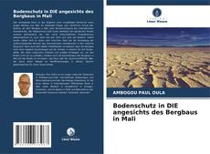 Portada del libro de Bodenschutz in DIE angesichts des Bergbaus in Mali