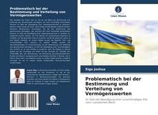 Copertina di Problematisch bei der Bestimmung und Verteilung von Vermögenswerten