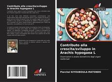 Bookcover of Contributo alla crescita/sviluppo in Arachis hypogaea L