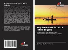 Bookcover of Regolamentare la pesca INN in Nigeria