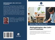 Methodologien des Lehr-Lern-Prozesses kitap kapağı