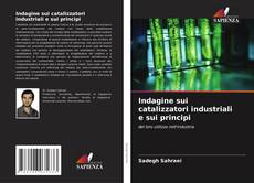 Couverture de Indagine sui catalizzatori industriali e sui principi