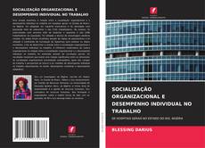 Capa do livro de SOCIALIZAÇÃO ORGANIZACIONAL E DESEMPENHO INDIVIDUAL NO TRABALHO 