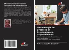 Buchcover von Metodologie del processo di insegnamento-apprendimento