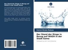 Der Stand der Dinge in Bezug auf WASH in der Stadt Goma的封面