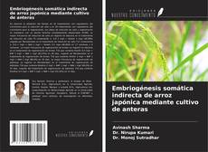 Bookcover of Embriogénesis somática indirecta de arroz japónica mediante cultivo de anteras