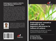 Borítókép a  Embriogenesi somatica indiretta di riso Japonica attraverso la coltura di antere - hoz