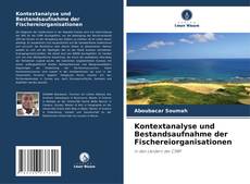 Copertina di Kontextanalyse und Bestandsaufnahme der Fischereiorganisationen