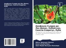 Авифауна Сьерра-де-Лас-Дамас, Кабайгуан, Санкти-Спиритус, Куба kitap kapağı