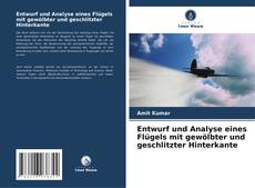 Copertina di Entwurf und Analyse eines Flügels mit gewölbter und geschlitzter Hinterkante