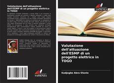 Borítókép a  Valutazione dell'attuazione dell'ESMP di un progetto elettrico in TOGO - hoz