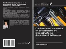 Couverture de Combustibles compuestos en el ecosistema de infraestructuras domésticas inteligentes