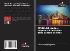 Buchcover von Effetti del capitale proprio sul fallimento delle banche beninesi