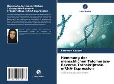 Copertina di Hemmung der menschlichen Telomerase-Reverse-Transkriptase-mRNA-Expression