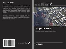 Proyecto BEPS kitap kapağı