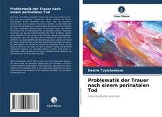 Copertina di Problematik der Trauer nach einem perinatalen Tod