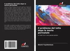 Обложка Il problema del lutto dopo la morte perinatale