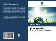 Klimawandel & Unternehmensstrategie的封面