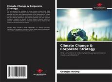 Capa do livro de Climate Change & Corporate Strategy 