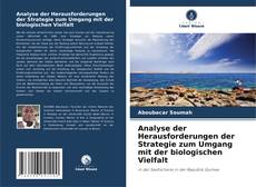 Copertina di Analyse der Herausforderungen der Strategie zum Umgang mit der biologischen Vielfalt