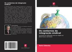 Os contornos da integração sindical kitap kapağı