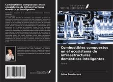 Copertina di Combustibles compuestos en el ecosistema de infraestructuras domésticas inteligentes